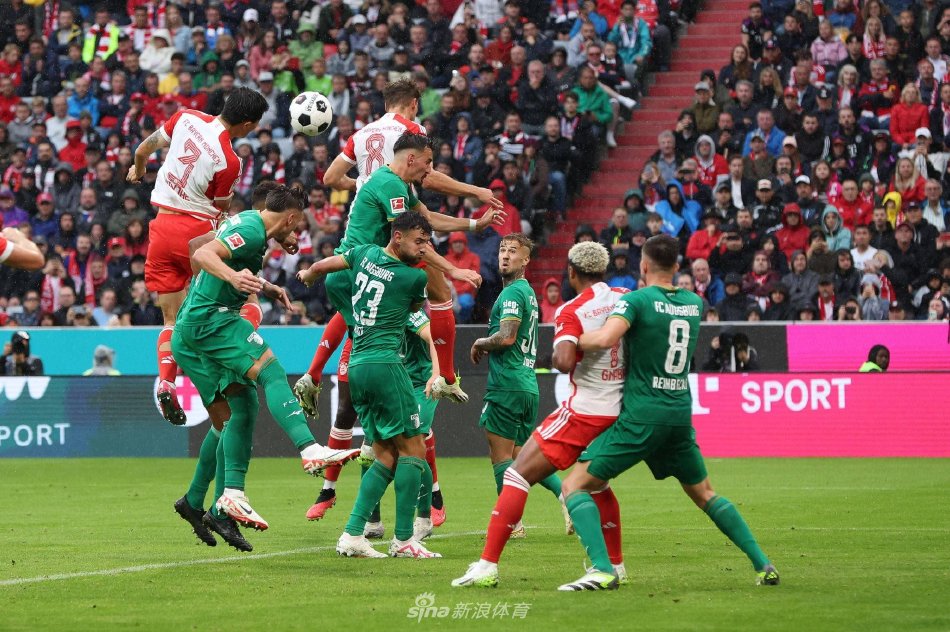 以色列队的 以色列队的